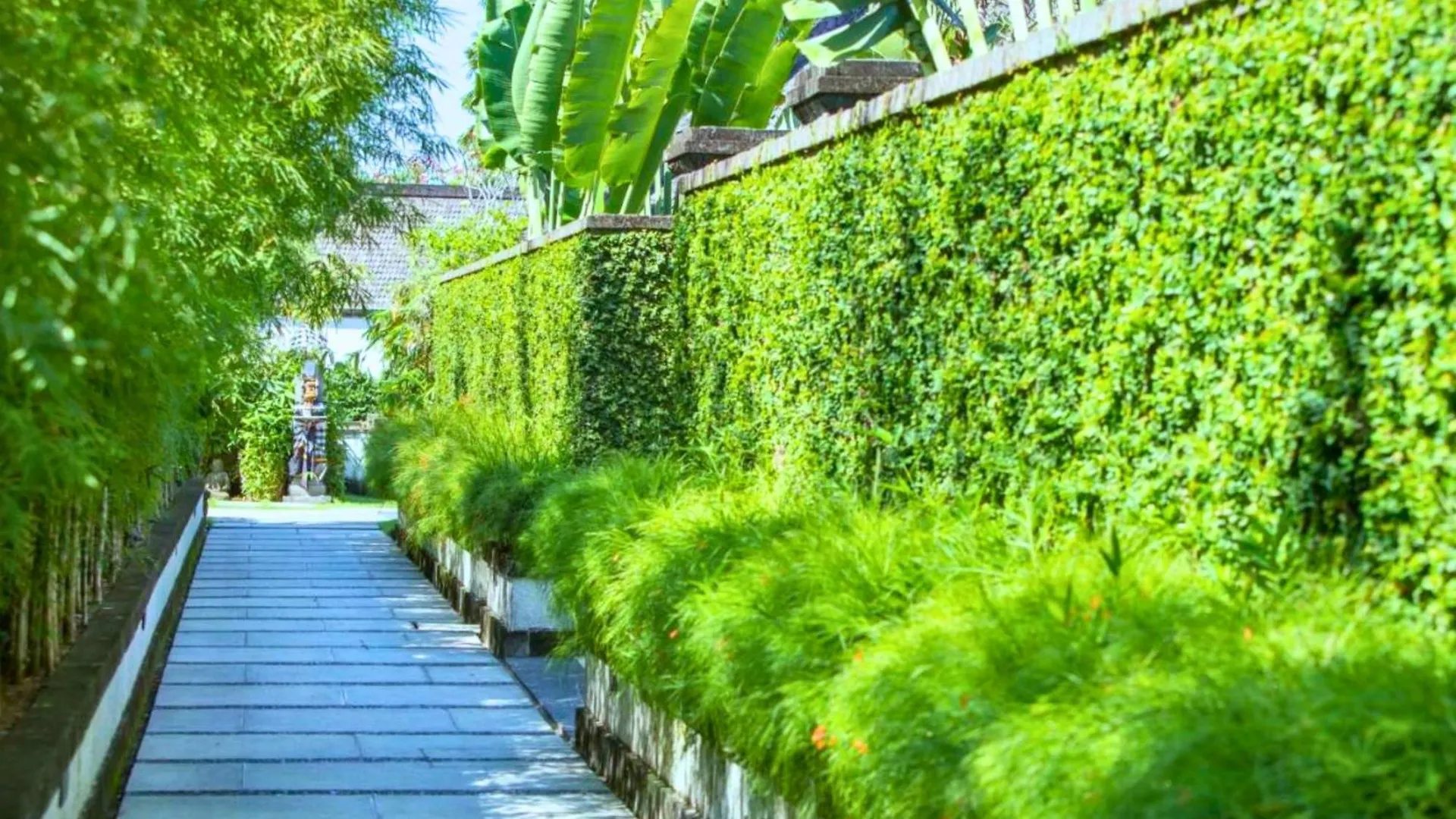 Nisara 2 Bedroom Garden Pool Villas Ju67 Seminyak